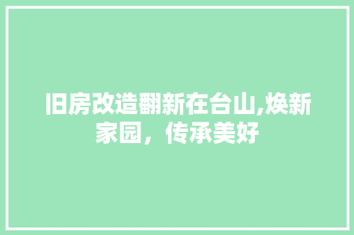 旧房改造翻新在台山,焕新家园，传承美好