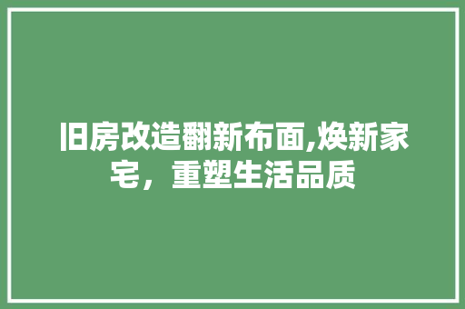 旧房改造翻新布面,焕新家宅，重塑生活品质