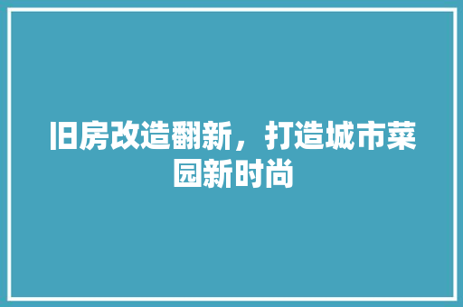 旧房改造翻新，打造城市菜园新时尚