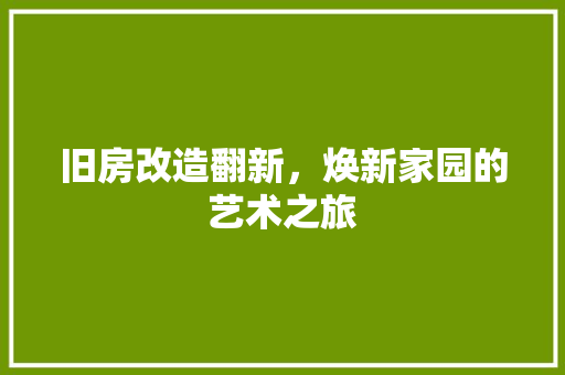 旧房改造翻新，焕新家园的艺术之旅