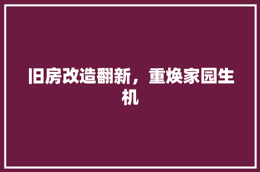 旧房改造翻新，重焕家园生机