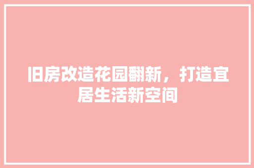 旧房改造花园翻新，打造宜居生活新空间