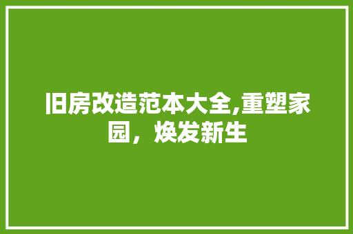 旧房改造范本大全,重塑家园，焕发新生
