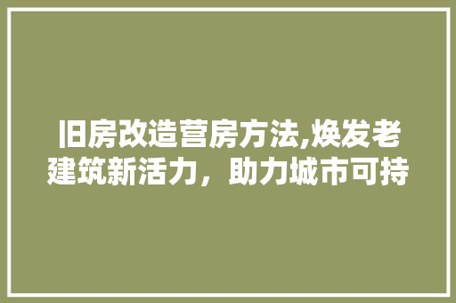 旧房改造营房方法,焕发老建筑新活力，助力城市可持续发展