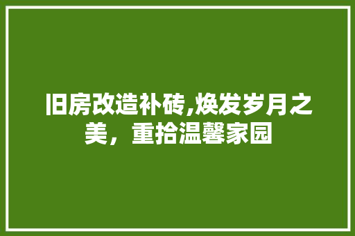 旧房改造补砖,焕发岁月之美，重拾温馨家园