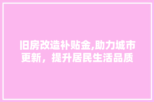 旧房改造补贴金,助力城市更新，提升居民生活品质