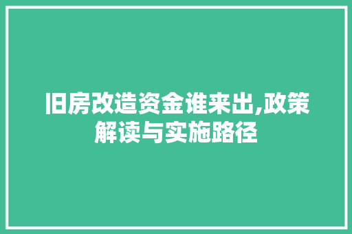 旧房改造资金谁来出,政策解读与实施路径
