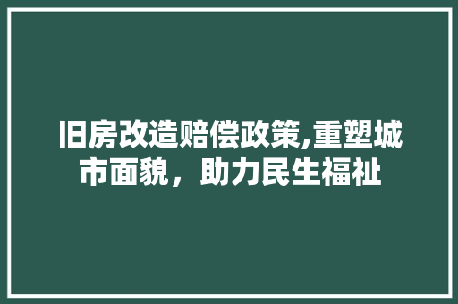 旧房改造赔偿政策,重塑城市面貌，助力民生福祉