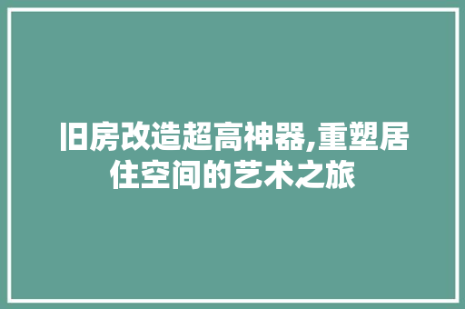 旧房改造超高神器,重塑居住空间的艺术之旅