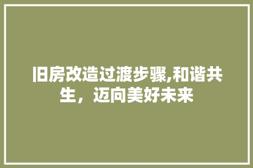 旧房改造过渡步骤,和谐共生，迈向美好未来