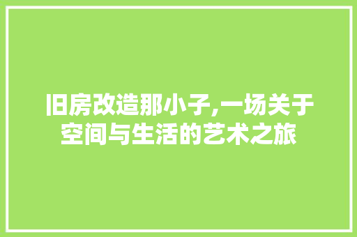 旧房改造那小子,一场关于空间与生活的艺术之旅
