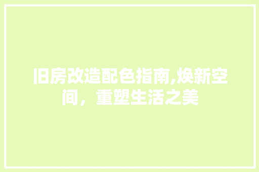 旧房改造配色指南,焕新空间，重塑生活之美