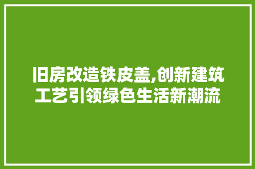旧房改造铁皮盖,创新建筑工艺引领绿色生活新潮流