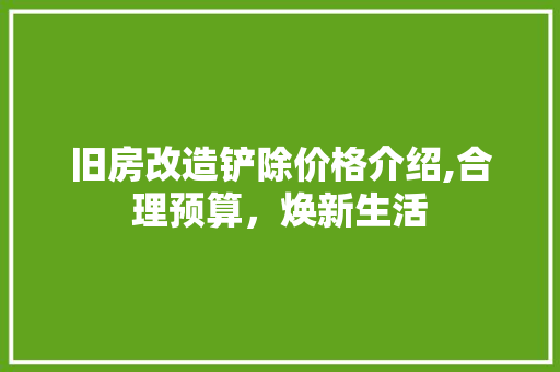 旧房改造铲除价格介绍,合理预算，焕新生活