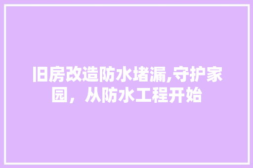 旧房改造防水堵漏,守护家园，从防水工程开始