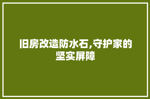 旧房改造防水石,守护家的坚实屏障