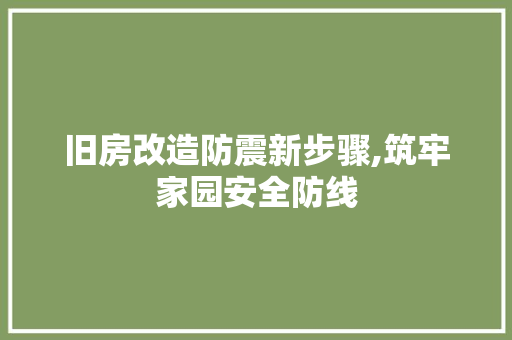 旧房改造防震新步骤,筑牢家园安全防线