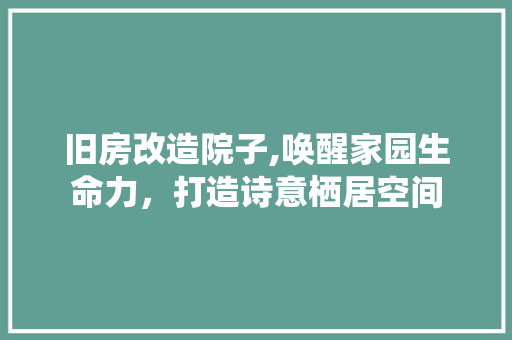 旧房改造院子,唤醒家园生命力，打造诗意栖居空间