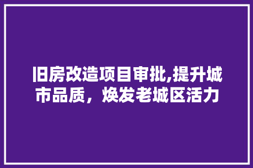旧房改造项目审批,提升城市品质，焕发老城区活力
