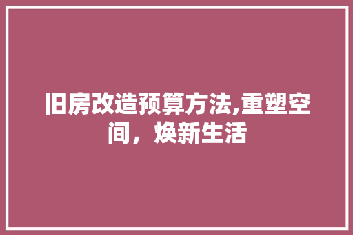 旧房改造预算方法,重塑空间，焕新生活