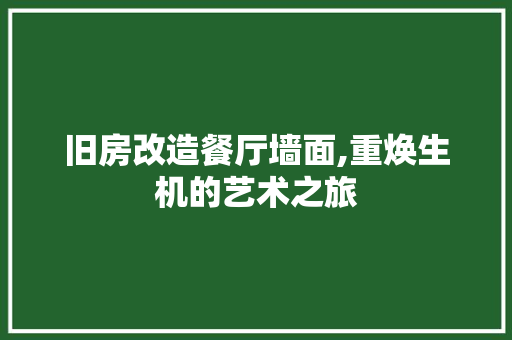 旧房改造餐厅墙面,重焕生机的艺术之旅