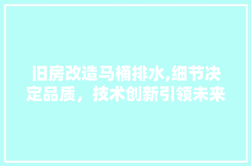 旧房改造马桶排水,细节决定品质，技术创新引领未来
