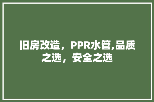 旧房改造，PPR水管,品质之选，安全之选