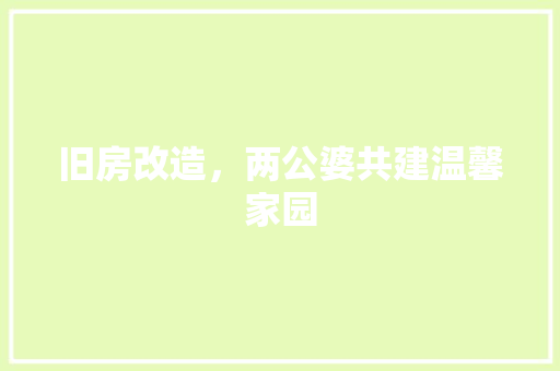 旧房改造，两公婆共建温馨家园