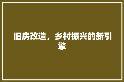 旧房改造，乡村振兴的新引擎