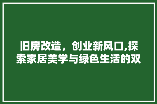 旧房改造，创业新风口,探索家居美学与绿色生活的双赢之路