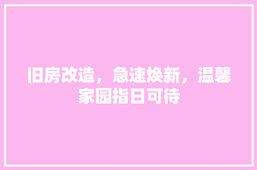 旧房改造，急速焕新，温馨家园指日可待