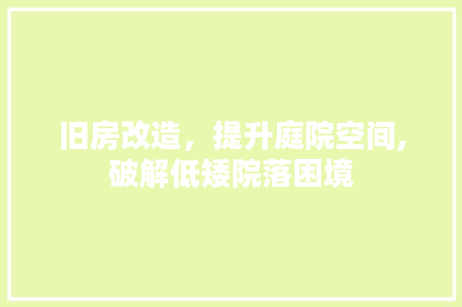 旧房改造，提升庭院空间,破解低矮院落困境