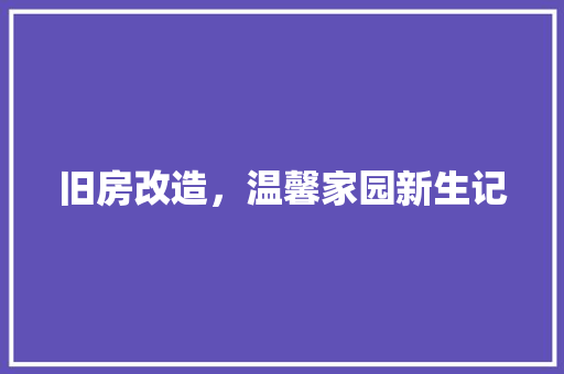 旧房改造，温馨家园新生记