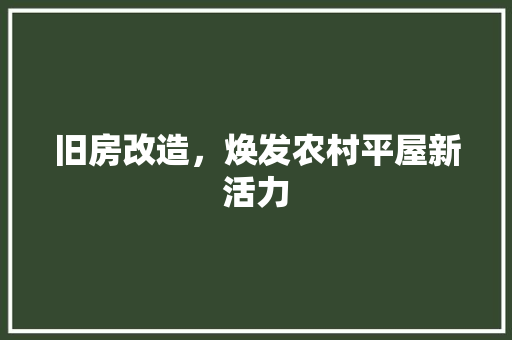 旧房改造，焕发农村平屋新活力