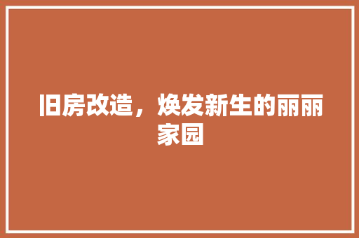 旧房改造，焕发新生的丽丽家园