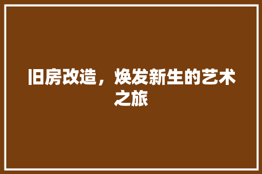 旧房改造，焕发新生的艺术之旅