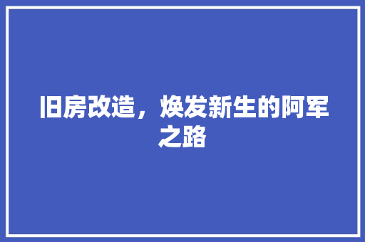 旧房改造，焕发新生的阿军之路