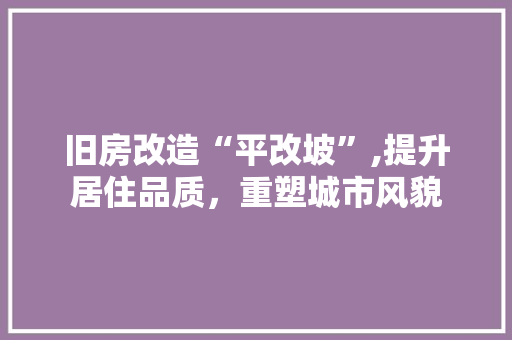 旧房改造“平改坡”,提升居住品质，重塑城市风貌