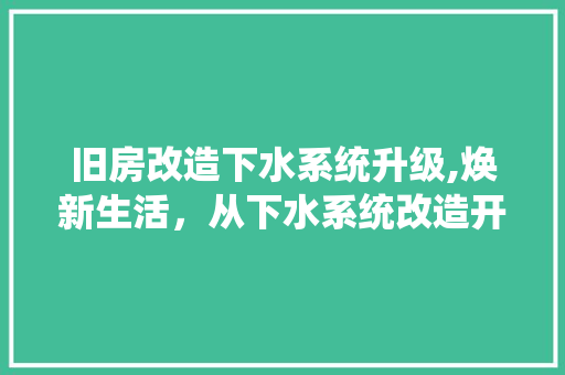 旧房改造下水系统升级,焕新生活，从下水系统改造开始