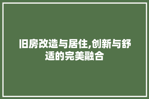 旧房改造与居住,创新与舒适的完美融合