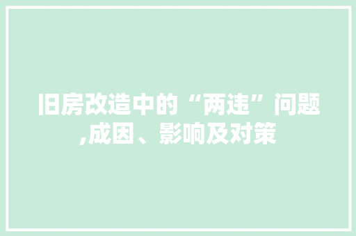 旧房改造中的“两违”问题,成因、影响及对策