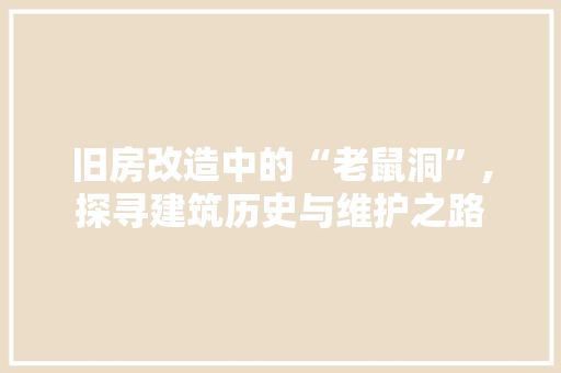 旧房改造中的“老鼠洞”,探寻建筑历史与维护之路