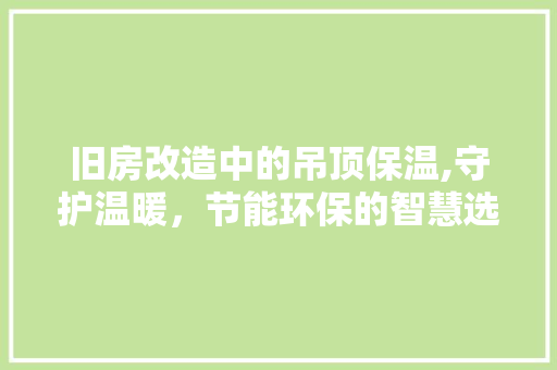 旧房改造中的吊顶保温,守护温暖，节能环保的智慧选择