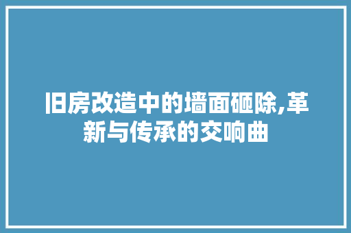 旧房改造中的墙面砸除,革新与传承的交响曲