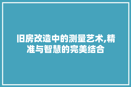 旧房改造中的测量艺术,精准与智慧的完美结合