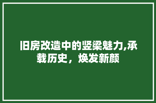 旧房改造中的竖梁魅力,承载历史，焕发新颜