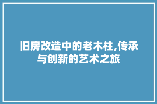 旧房改造中的老木柱,传承与创新的艺术之旅