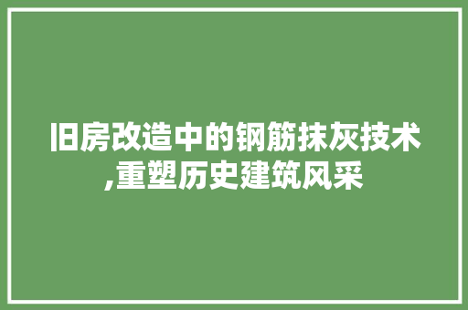 旧房改造中的钢筋抹灰技术,重塑历史建筑风采