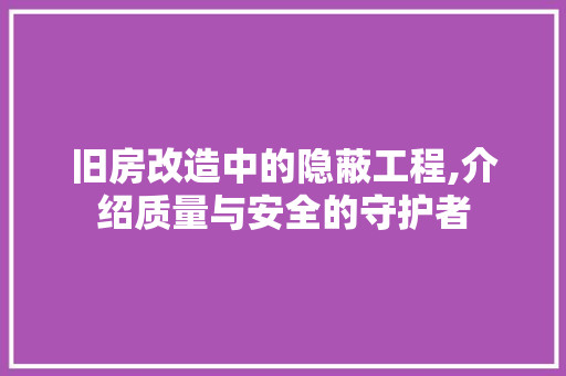 旧房改造中的隐蔽工程,介绍质量与安全的守护者