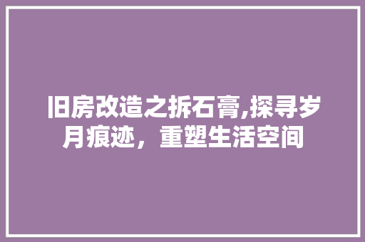 旧房改造之拆石膏,探寻岁月痕迹，重塑生活空间